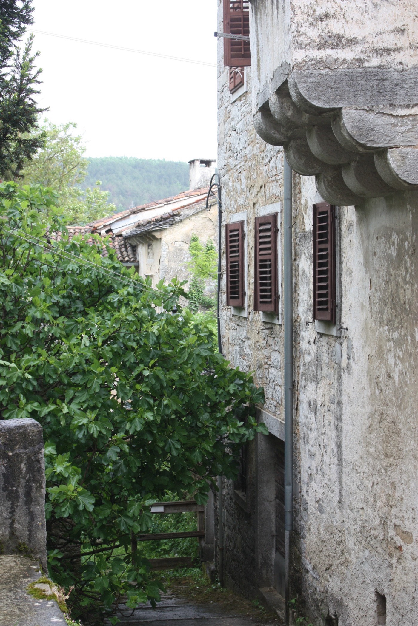 Pazin