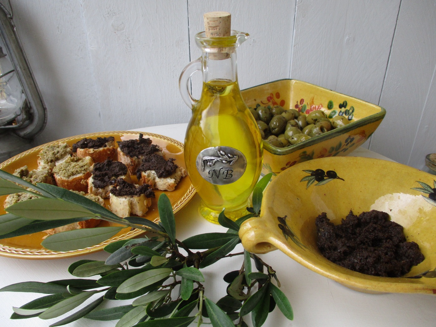 Weinberg mit Pinienreihen in Istrien, im Hintergrund ein Hügeldorf