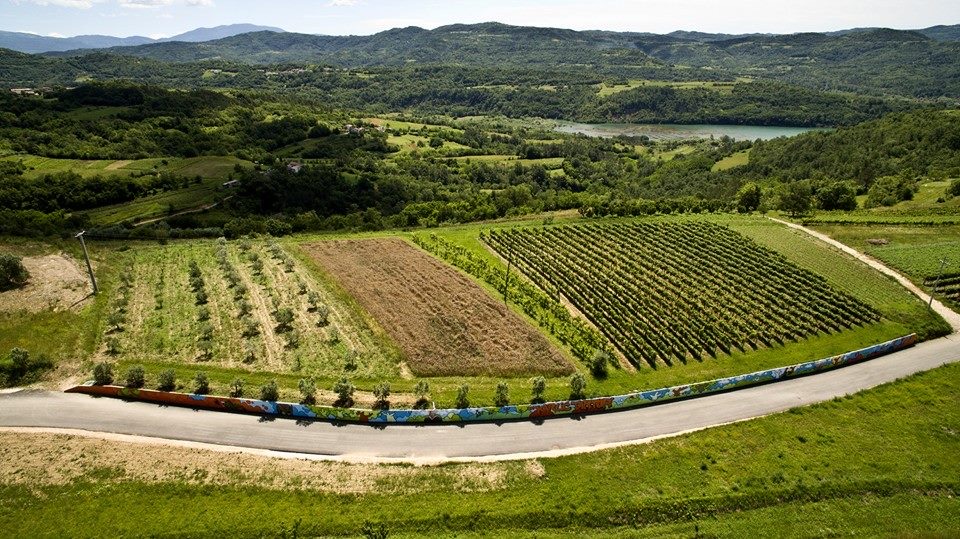Karlić Tartufi