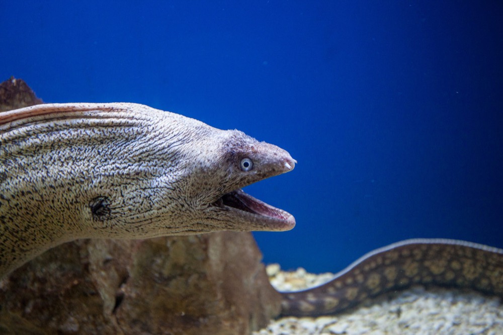 Aquarium & Terrarium Poreč