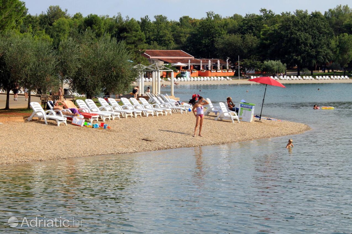 Glavna (Punta)